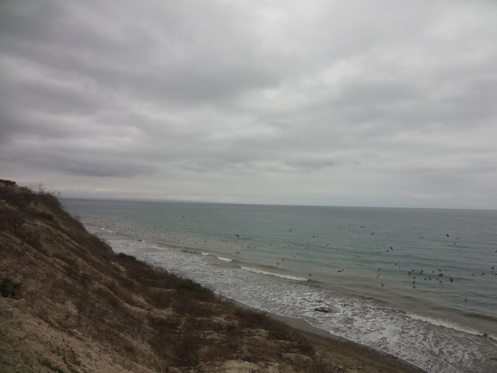 Foto: Mar y pelicanos - Crucita (Manabí), Ecuador