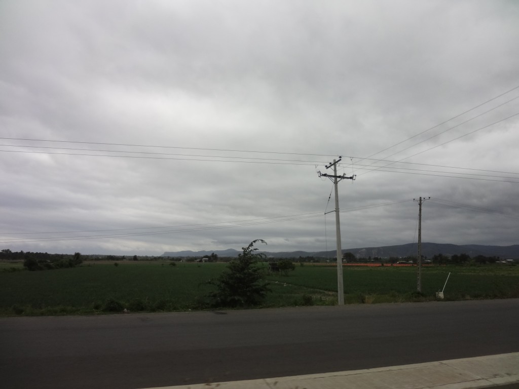 Foto: Plantío de arroz - Crucita (Manabí), Ecuador