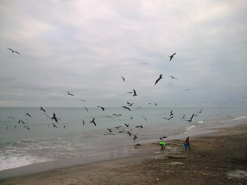 Foto: Playa - Crucita (Manabí), Ecuador
