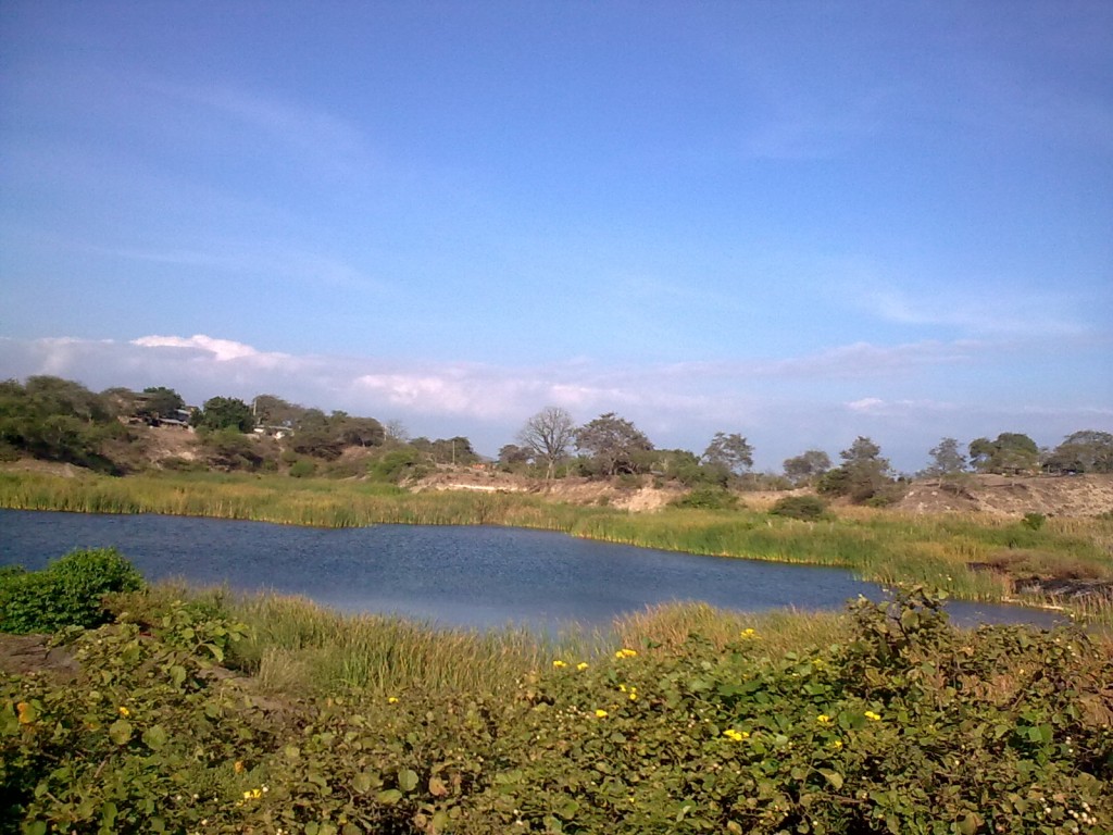 Foto: Camino hacia los Gilses - Crucita (Manabí), Ecuador