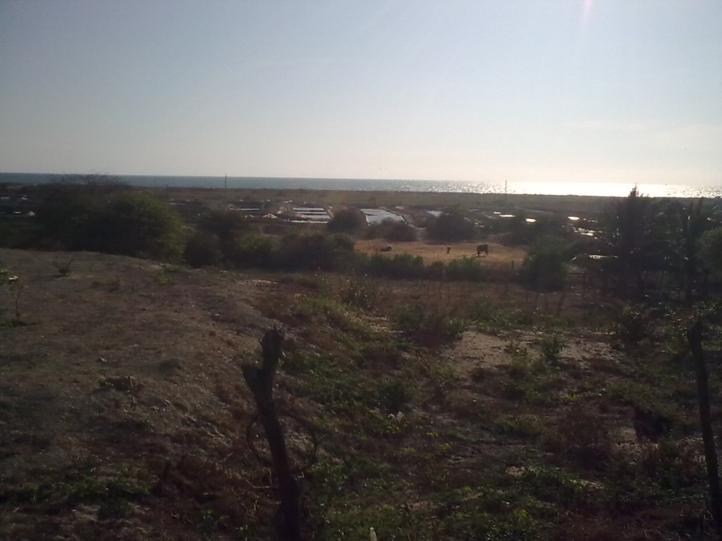 Foto: Salitral - Crucita (Manabí), Ecuador