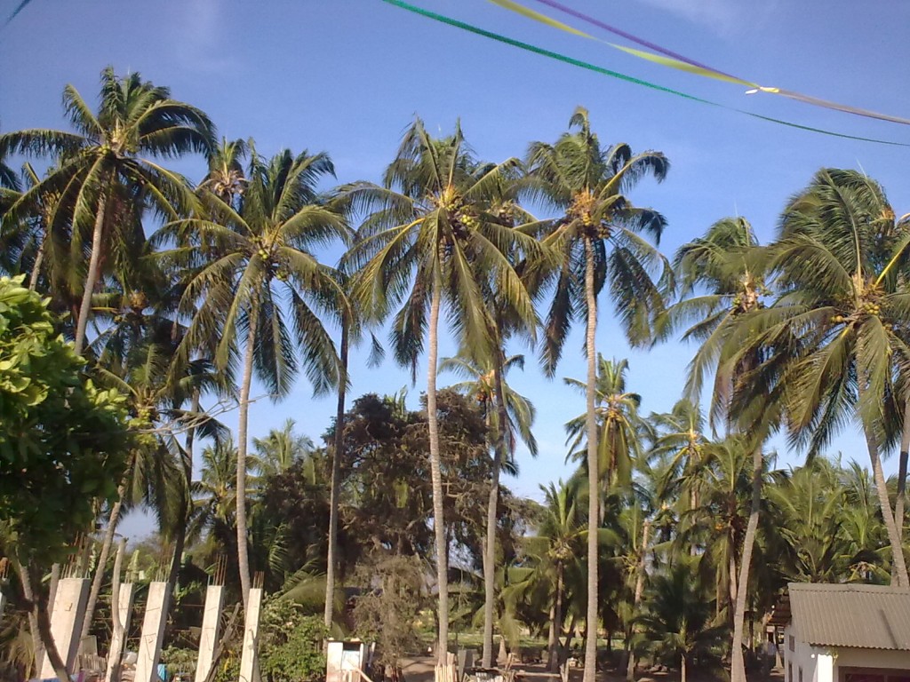 Foto: Paisaje - Crucita (Manabí), Ecuador