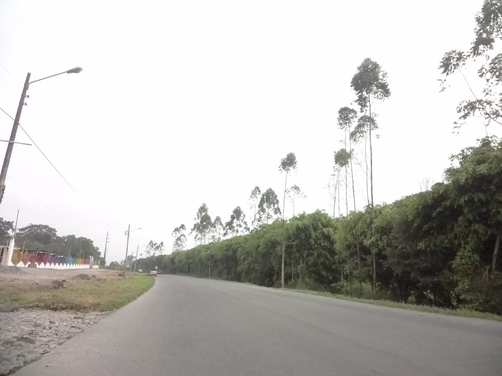 Foto: Carretera - Santo Domingo de los Tsáchilas, Ecuador