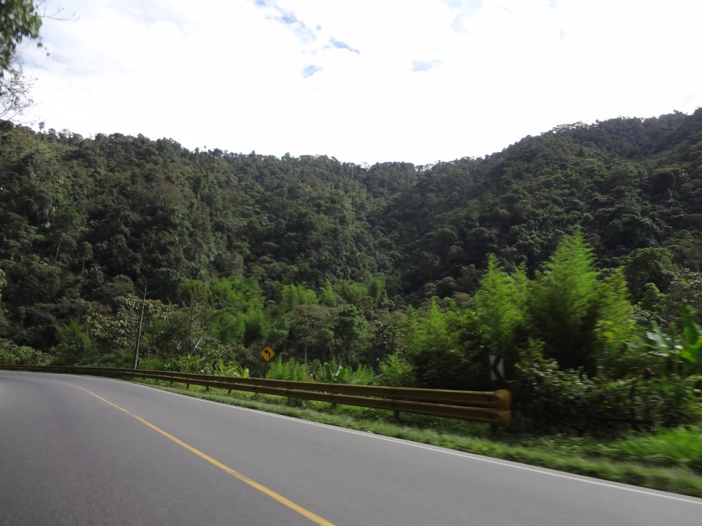 Foto: paisaje - Santo Domingo de los Tsáchilas, Ecuador