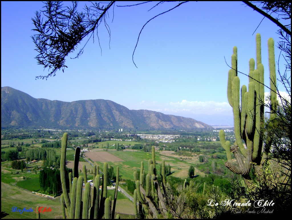 Foto de Lo Miranda (Libertador General Bernardo OʼHiggins), Chile