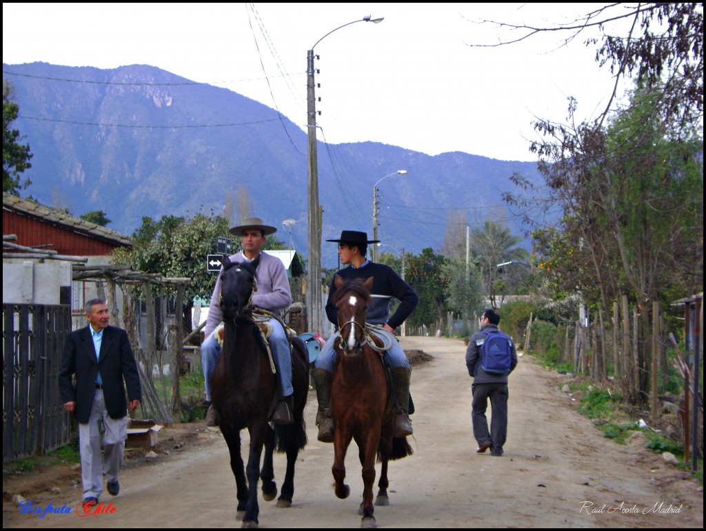 Foto de Lo Miranda (Libertador General Bernardo OʼHiggins), Chile