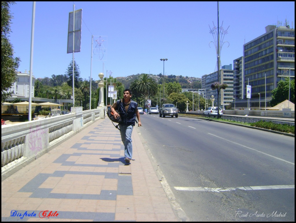 Foto de Viña del Mar (Valparaíso), Chile