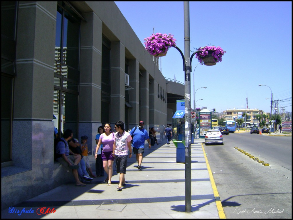 Foto de Viña del Mar (Valparaíso), Chile