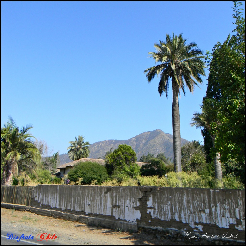 Foto de Alhué (Región Metropolitana), Chile