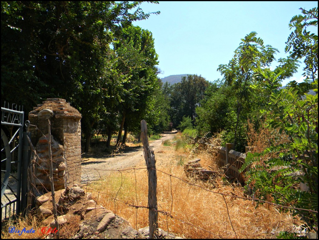 Foto de Alhué (Región Metropolitana), Chile