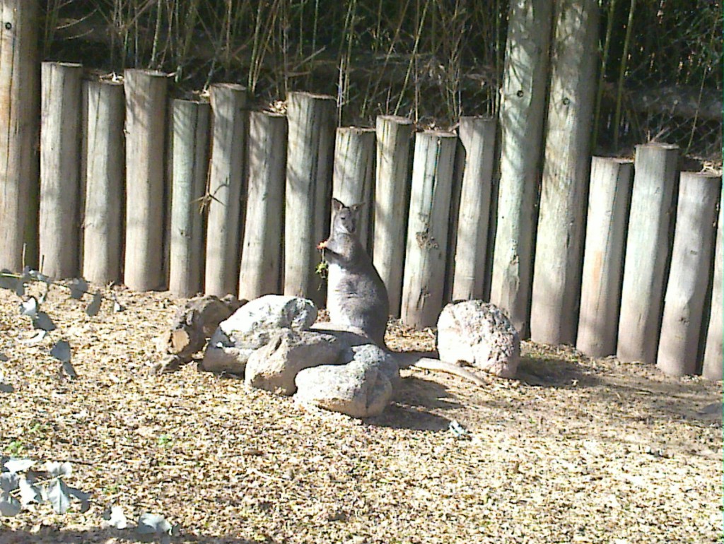 Foto: Temaikén - Belén de Escobar (Buenos Aires), Argentina