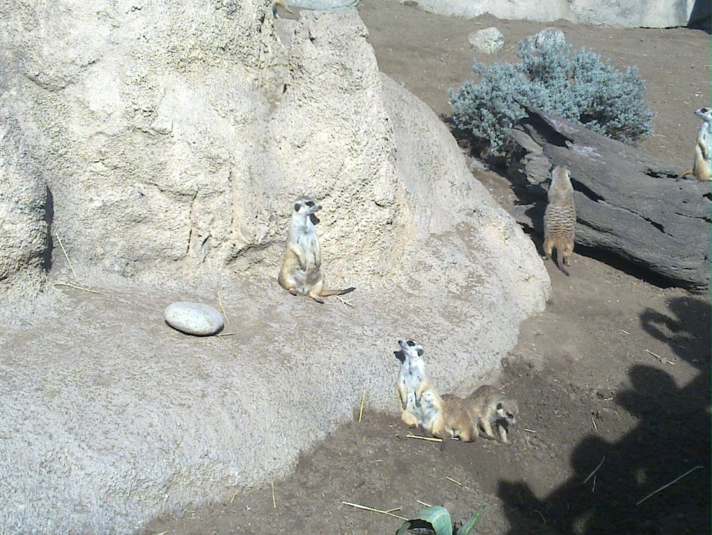 Foto: Temaikén - Belén de Escobar (Buenos Aires), Argentina