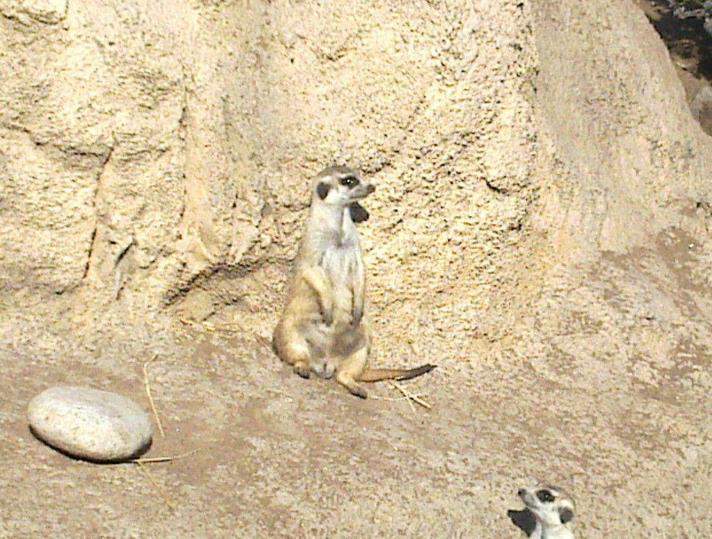 Foto: Temaikén - Belén de Escobar (Buenos Aires), Argentina