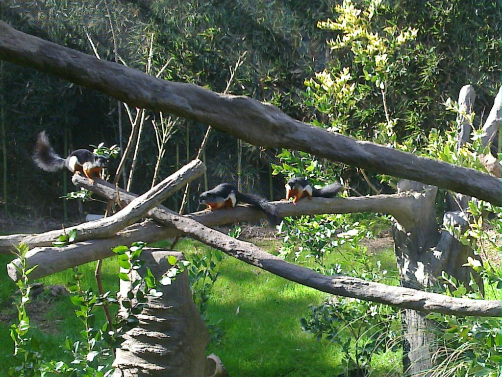 Foto: Temaikén - Belén de Escobar (Buenos Aires), Argentina