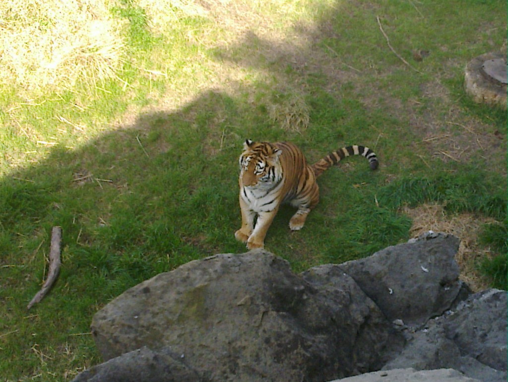 Foto: Temaikén - Belén de Escobar (Buenos Aires), Argentina