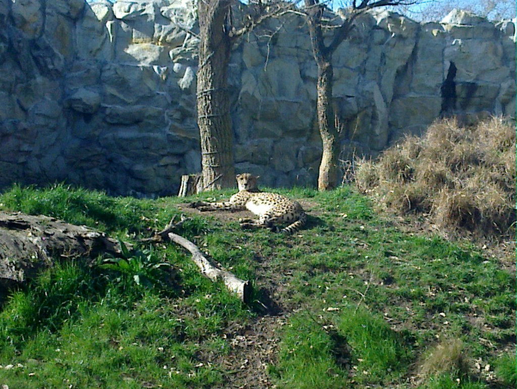 Foto: Temaikén - Belén de Escobar (Buenos Aires), Argentina