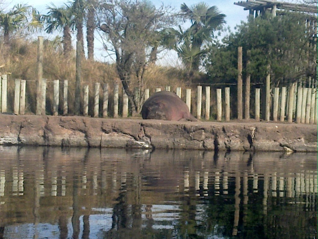 Foto: Temaikén - Belén de Escobar (Buenos Aires), Argentina