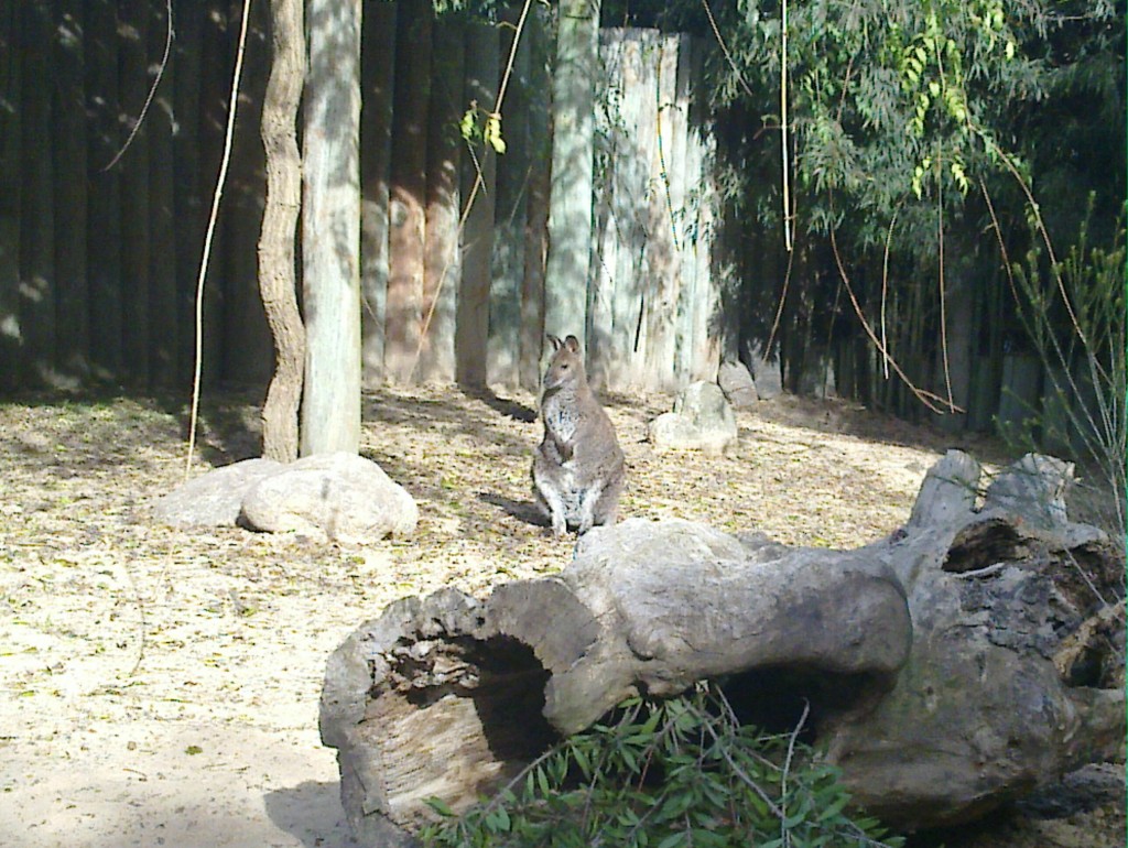 Foto: Temaikén - Belén de Escobar (Buenos Aires), Argentina