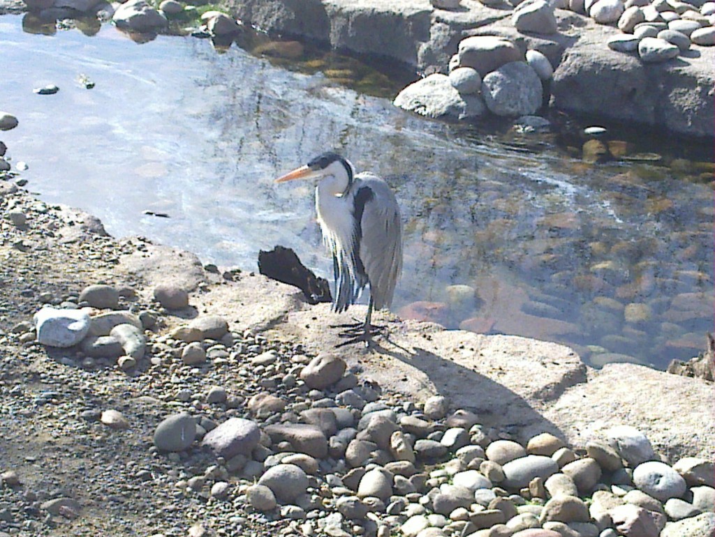 Foto: Temaikén - Belén de Escobar (Buenos Aires), Argentina