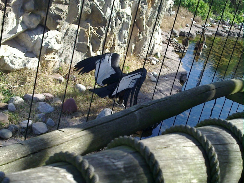 Foto: Temaikén - Belén de Escobar (Buenos Aires), Argentina