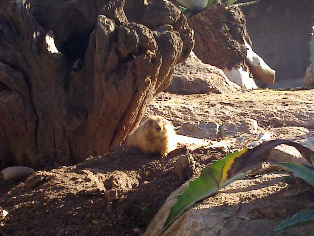 Foto: Temaikén - Belén de Escobar (Buenos Aires), Argentina