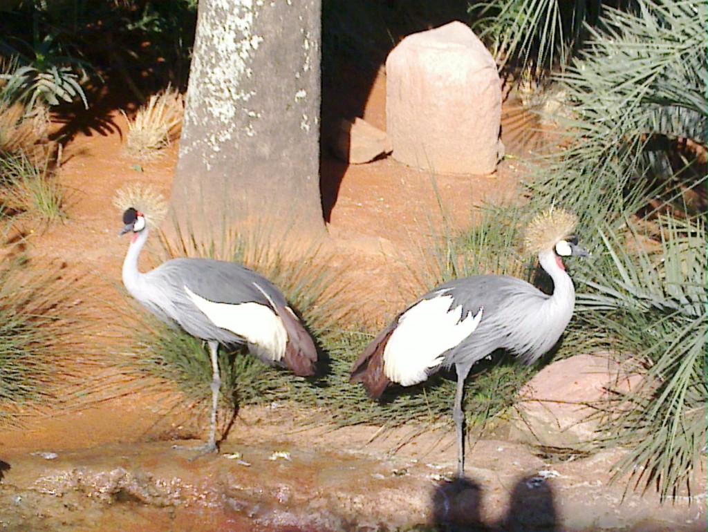 Foto de Belén de Escobar (Buenos Aires), Argentina