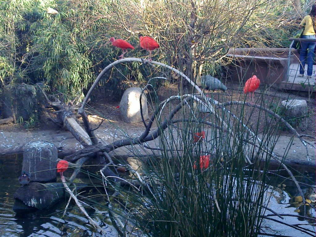 Foto: Temaikén - Belén de Escobar (Buenos Aires), Argentina