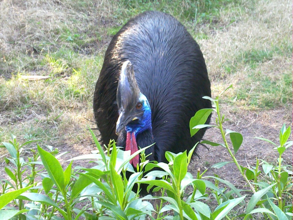 Foto de Belén de Escobar (Buenos Aires), Argentina