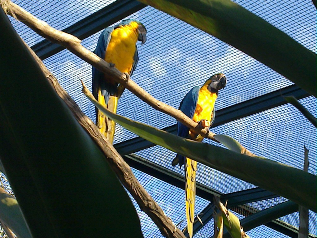 Foto de Belén de Escobar (Buenos Aires), Argentina