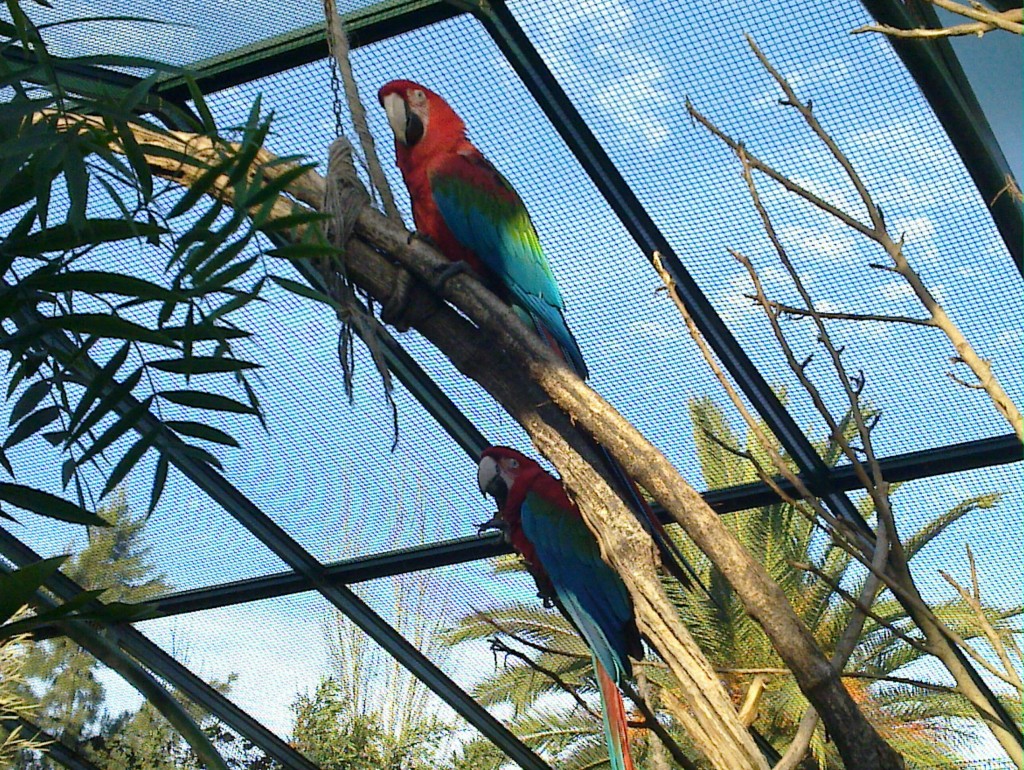 Foto: Temaikén - Belén de Escobar (Buenos Aires), Argentina