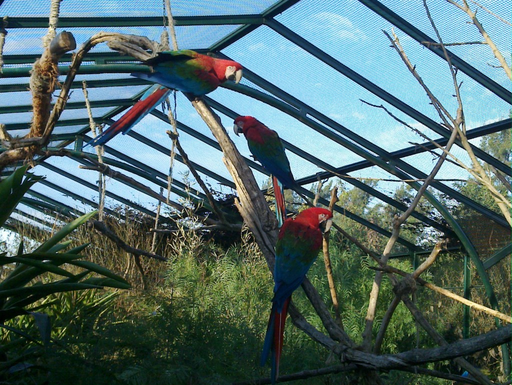 Foto: Temaikén - Belén de Escobar (Buenos Aires), Argentina