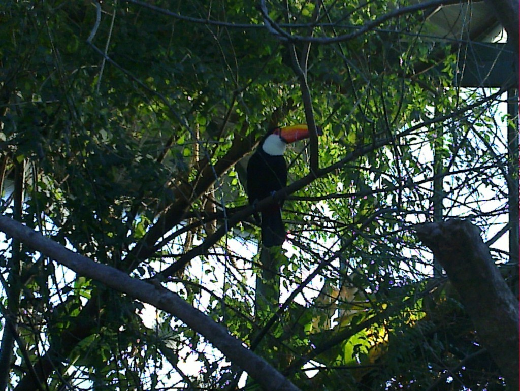 Foto: Temaikén - Belén de Escobar (Buenos Aires), Argentina