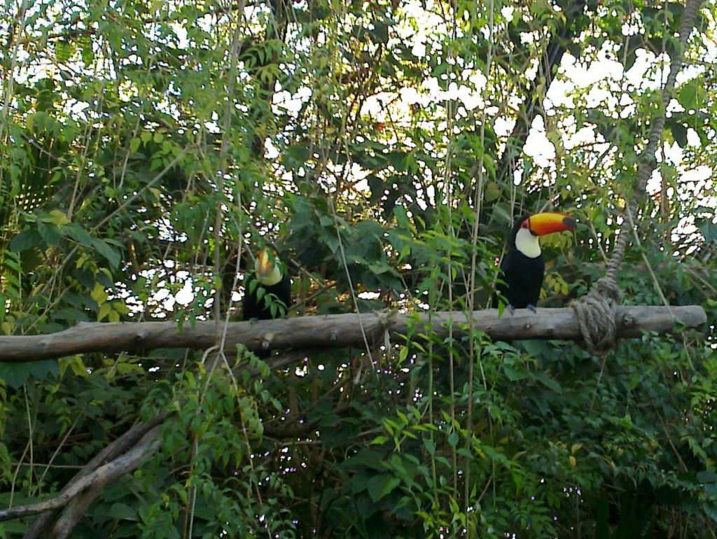 Foto: Temaikén - Belén de Escobar (Buenos Aires), Argentina