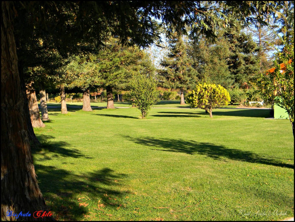 Foto de Rancagua (Libertador General Bernardo OʼHiggins), Chile