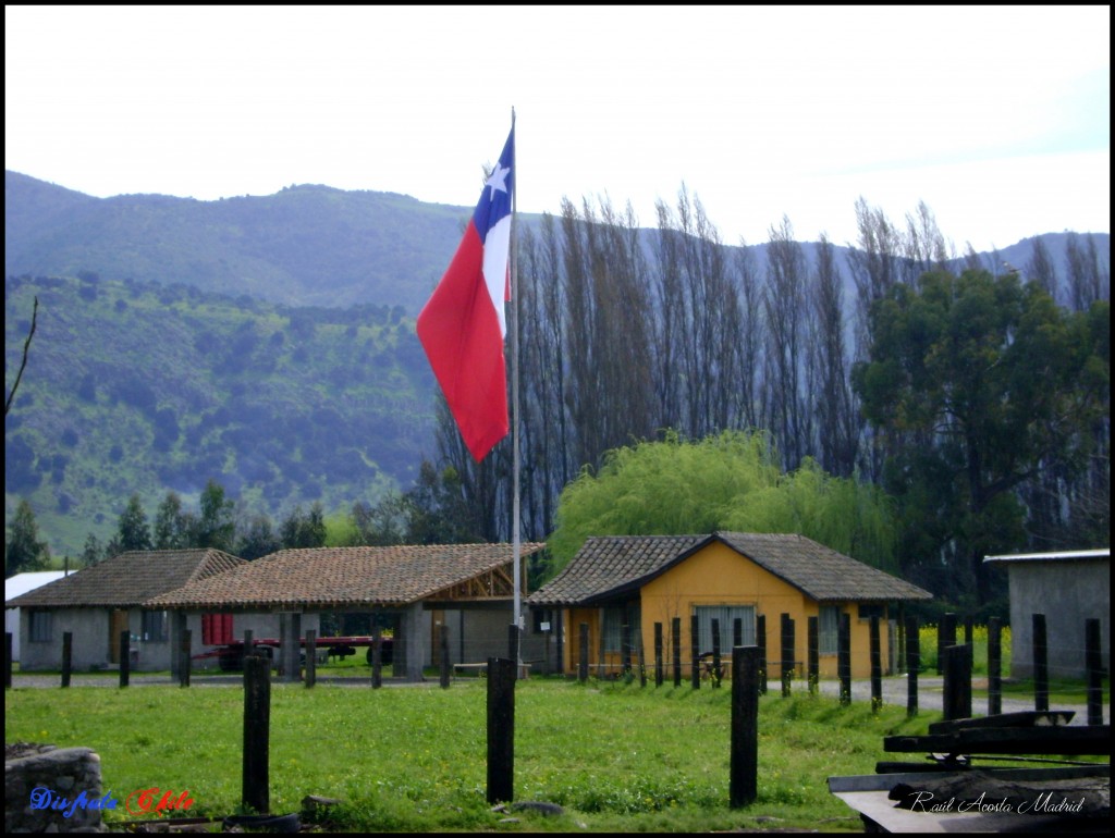 Foto de El Huapi (Libertador General Bernardo OʼHiggins), Chile