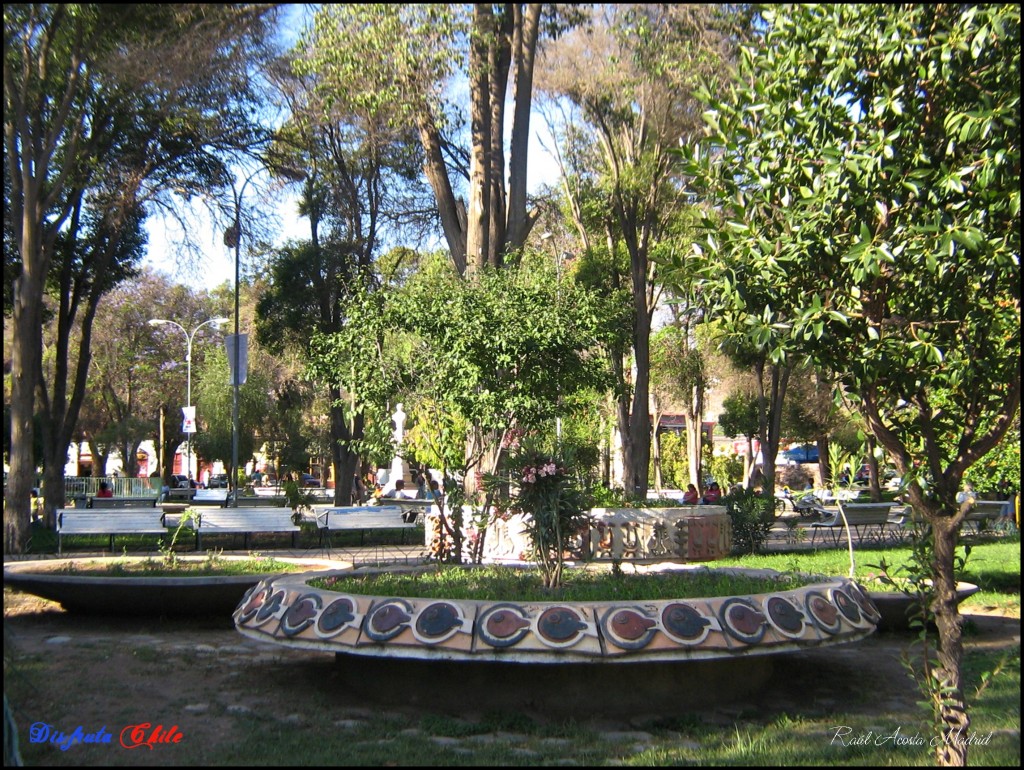 Foto de Vicuña (Coquimbo), Chile