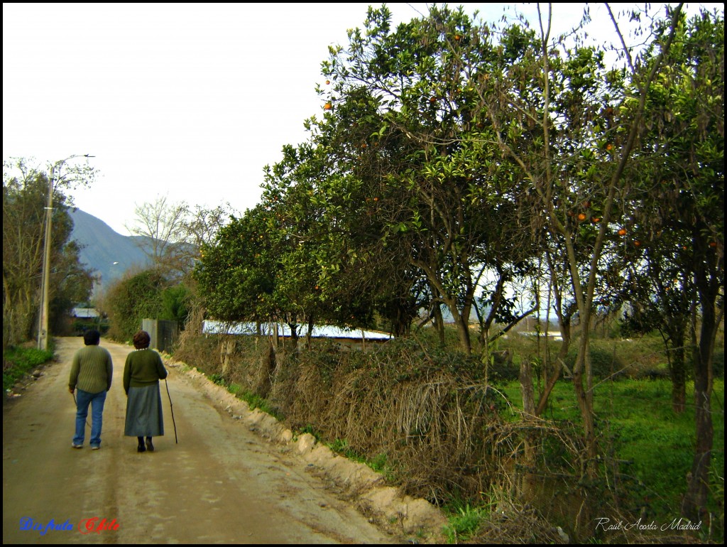 Foto de Lo Miranda (Libertador General Bernardo OʼHiggins), Chile