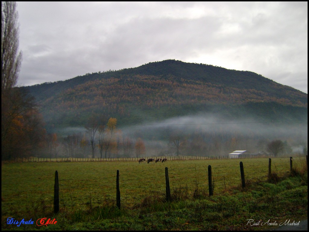 Foto de Curarrehue (Los Lagos), Chile