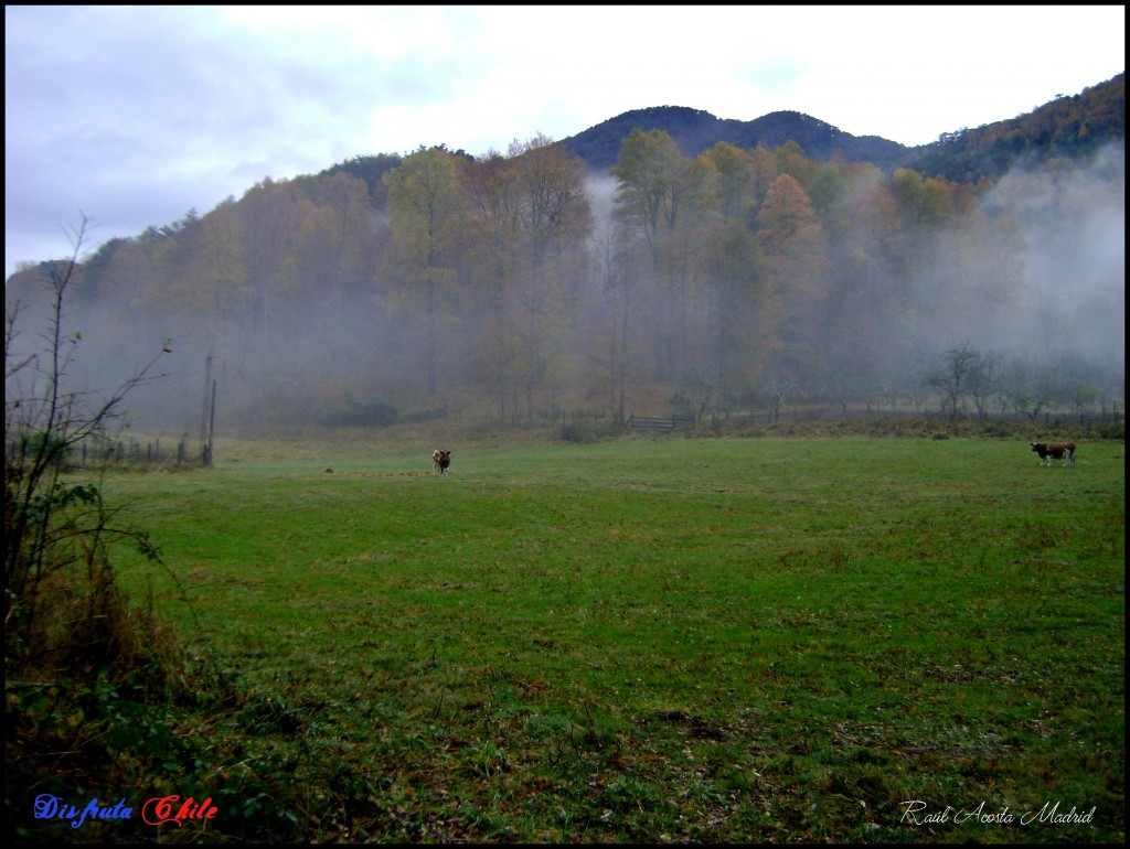 Foto de Curarrehue (Los Lagos), Chile