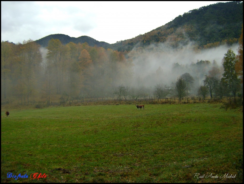 Foto de Curarrehue (Los Lagos), Chile