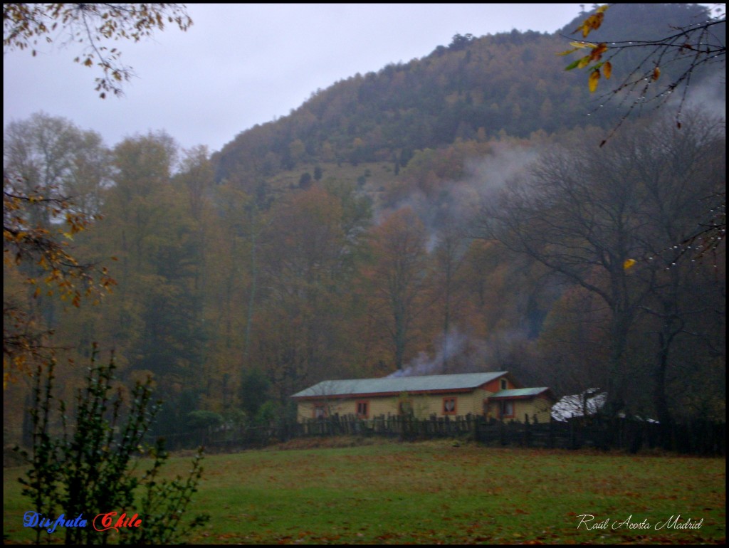 Foto de Curarrehue (Los Lagos), Chile