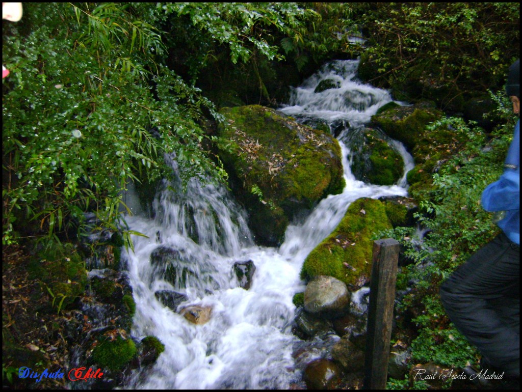Foto de Curarrehue (Los Lagos), Chile