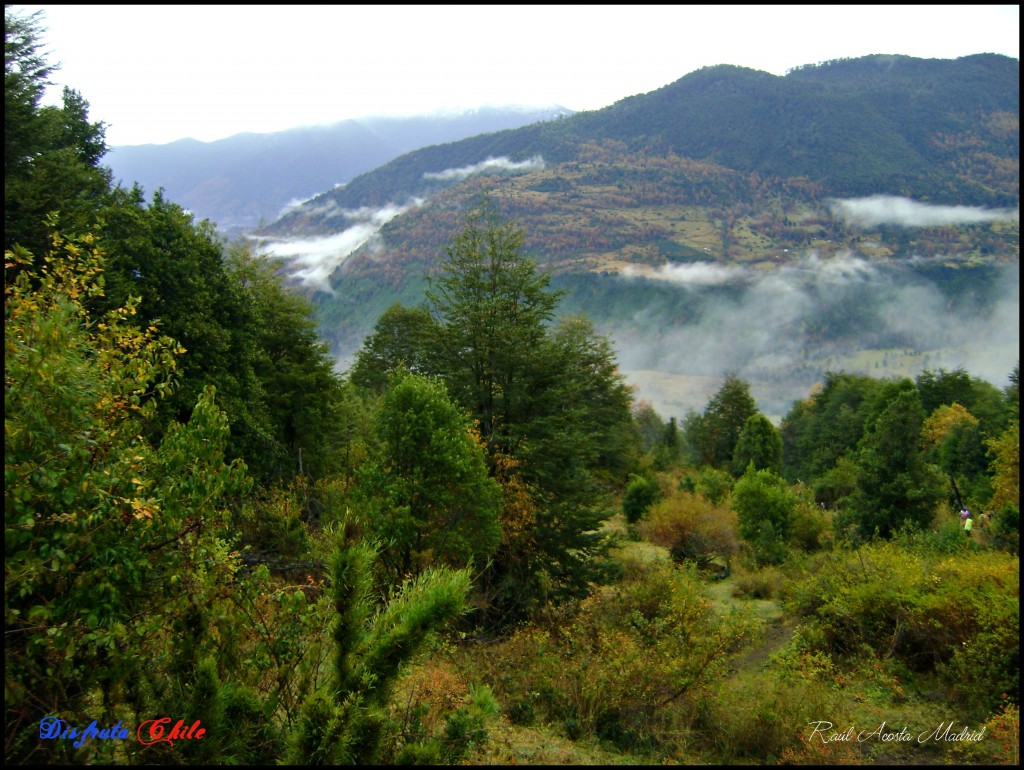 Foto de Curarrehue (Los Lagos), Chile