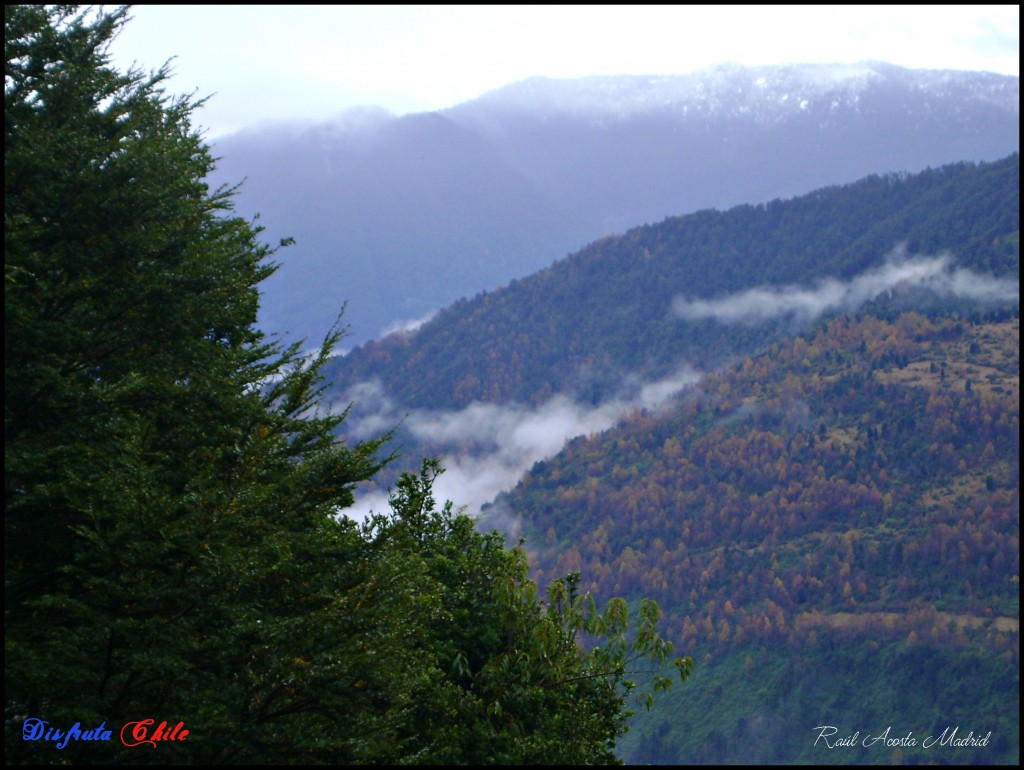 Foto de Curarrehue (Los Lagos), Chile