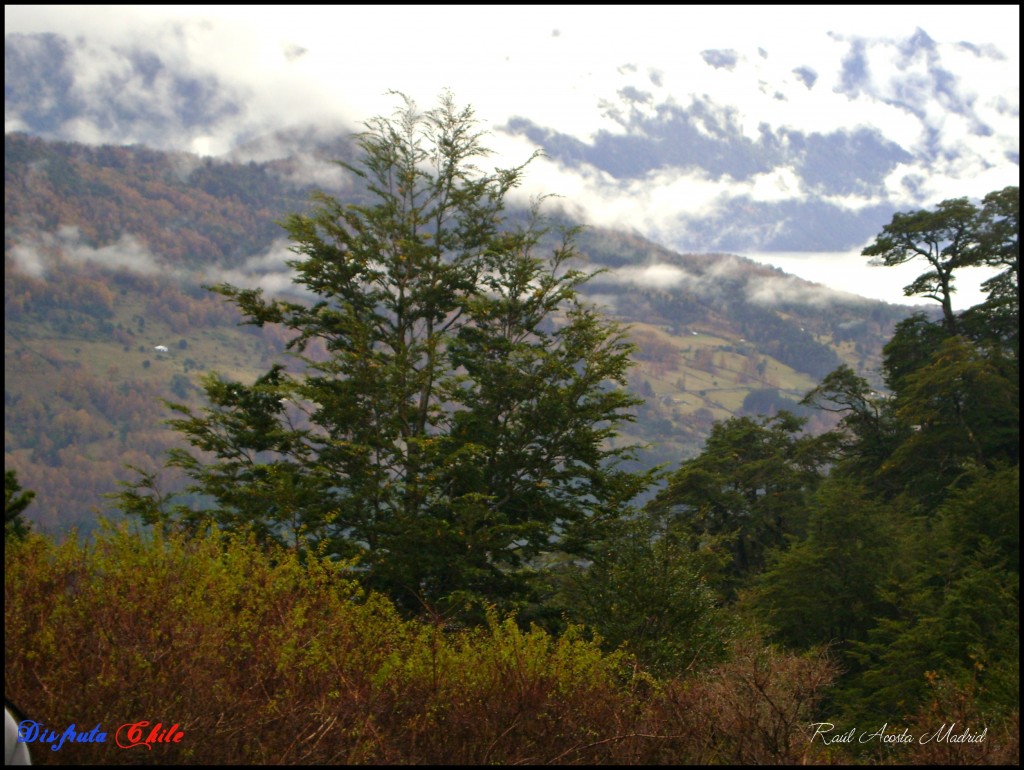 Foto de Curarrehue (Los Lagos), Chile
