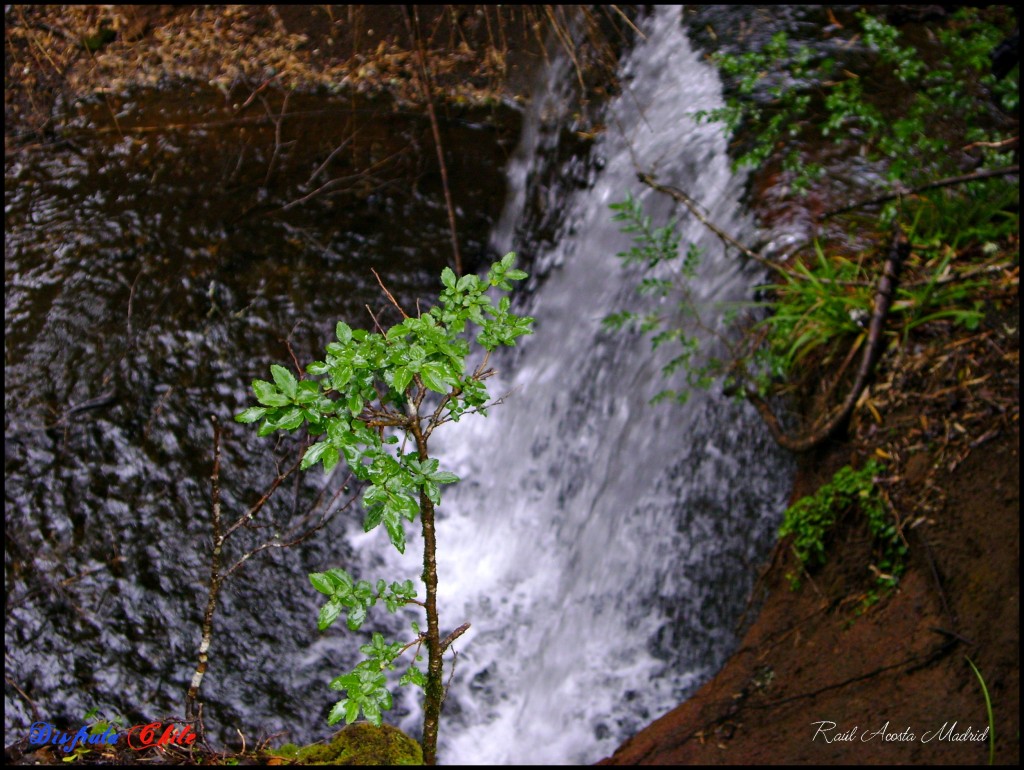 Foto de Curarrehue (Los Lagos), Chile
