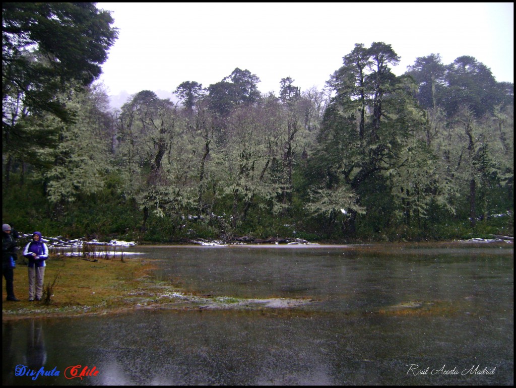 Foto de Curarrehue (Los Lagos), Chile