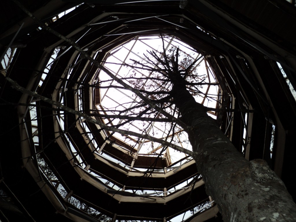 Foto de Temuco, Chile