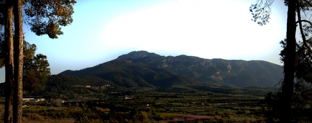 Foto: La Penya de Benicadell vista des de La Torre - Castello de Rugat (València), España