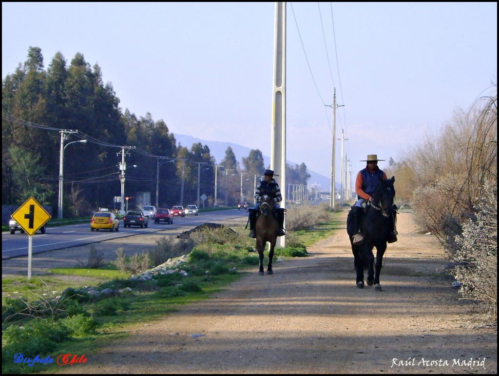 Foto de Lo Miranda (Libertador General Bernardo OʼHiggins), Chile